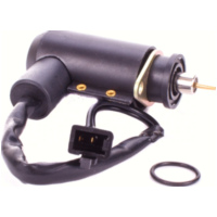 E-Choke (Kaltstartventil) für Mikuni Vergaser passend für Aprilia Scarabeo  50 PF010 1998, 3,1 PS, 2,3 kw