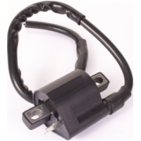 Zündmodul Zündspule - 1 Pin - 12V passend für Aprilia Scarabeo  50 PF010 1998, 3,1 PS, 2,3 kw