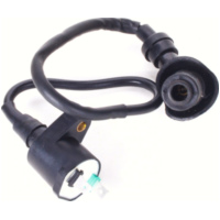 Zündmodul Zündspule mit Kerzenstecker u.a. für 50cc Minarelli Motoren passend für Aprilia Scarabeo  50 PF010 1998, 3,1 PS, 2,3 kw