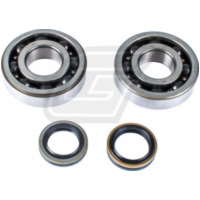 crankshaft bearing & seal kit for RM250 '05-12