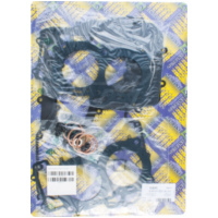 Motordichtsatz 411A014FL passend für Aprilia RSV4 Racing Factory LEABS 1000 RKL00/RKL01 2015, 201 PS, 148 kw