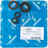 Motor Dichtringsatz 411A016SR passend für Aprilia RS4  125 TW000 2013, 15 PS, 11 kw