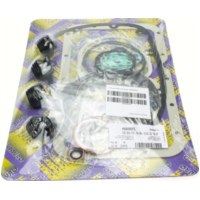 Full gaskets set 498A980FL