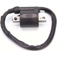 Zündmodul Zündspule u.a. f. Minarelli Motoren passend für Aprilia Scarabeo  50 PF010 1998, 3,1 PS, 2,3 kw