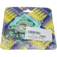 Zylinderdichtungssatz Zylinderdichtsatz 990A008TP passend für Aprilia Scarabeo  50 PF010 1998, 3,1 PS, 2,3 kw