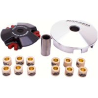 Variomatik Racing V.2 für Minarelli passend für Aprilia Scarabeo  50 PF010 1998, 3,1 PS, 2,3 kw