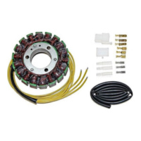 ElectroSport Stator ESG74 für Lichtmaschine passend für Yamaha FZS Fazer 600 RJ021 2001, 95 PS, 70 kw
