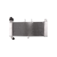 motoprofessional Wasserkühler Aprillia RS125 4T/RS4 50, 11-18 passend für Aprilia RS4 /Replica 50 TK000/VX000 2014, 5,4/2,7 PS, 4/2 kw