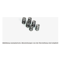 FERODO Clutch spring set FSS0309