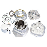 cylinder kit Polini aluminum racing Evolution 70cc 10mm piston pin for Minarelli horizontal LC 166.0113/10