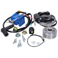 ignition Polini digital PVL for Minarelli AM6, for: Derbi D50B 171.0555 passend für Aprilia RS4 /Replica 50 TK000/VX000 2018, 5,4/2,7 PS, 4/2 kw