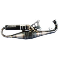Auspuff Polini Racing Big Evolution 94ccm TWD für Minarelli liegend LC 200.0289 passend für Aprilia Area 51 KAT 50 MYG00 1999, 4,1 PS, 3 kw
