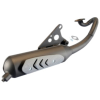 Schalldämpfer Auspuff Polini für Aprilia SR 50, Malaguti F10 (Minarelli Motor) 200.0317 passend für Aprilia Scarabeo  50 HS 1996, 3,1 PS, 2,3 kw