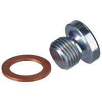 sealing plug Polini cylinder head for Minarelli horizontal LC 315.0023