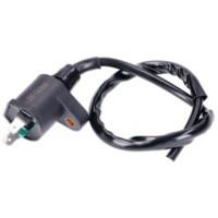 ignition coil 2 pins for Piaggio, for: Aprilia, Gilera, Honda, Kymco, Peugeot, G passend für Aprilia RS4 /Replica 50 TK000/VX000 2018, 5,4/2,7 PS, 4/2 kw