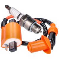 Zündung Upgrade Kit Naraku High Output 1-Pin Zündspule und Zündkerze Iridium kurzes Gewinde für Minarelli 2T liegend, stehend AC passend für Aprilia Scarabeo  50 HS 1996, 3,1 PS, 2,3 kw