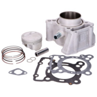 Zylinderkit Malossi 166ccm für Italjet Dragster 125-200ccm (21-) Euro5 M.3115326 passend für Aprilia RS4  125 TW000 2013, 15 PS, 11 kw