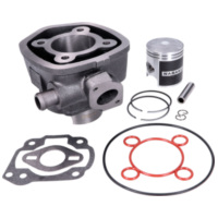 cylinder kit Naraku V.2 70cc for Minarelli horizontal LC NK102.76.2 fitting for Aprilia SR RacingHorizontaler Zylinder 50 MZL10 1999, 4,5 PS, 3,3 kw