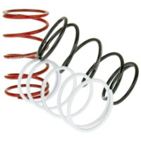 Wandler Gegendruckfedern Naraku Sport V.2 - 3er Set für Minarelli NK900.51 passend für Aprilia Scarabeo  50 PF010 1998, 3,1 PS, 2,3 kw